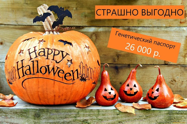 Акция "Страшно выгодно" продлевается на неделю Акция "Страшно выгодно" продлевается на неделю